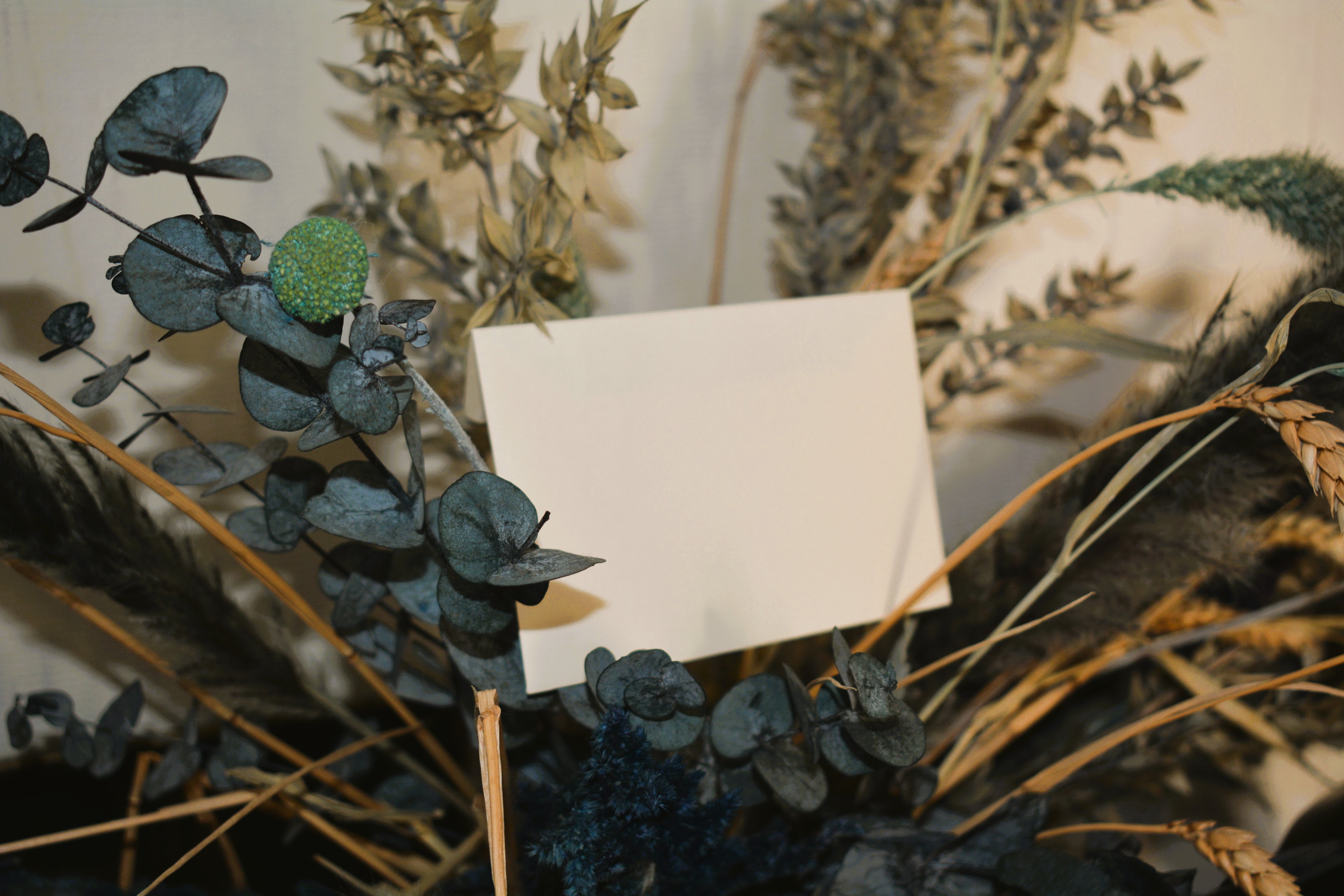 Offer elegance and freedom: Vôtres gift cards, an unforgettable present